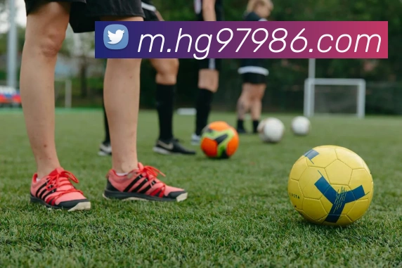 体育直播服务